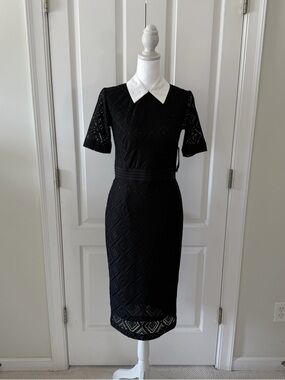 New York & Company Stretch Black Lace Midi Dress with White Collar